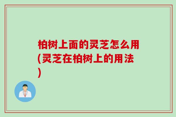 柏树上面的灵芝怎么用(灵芝在柏树上的用法)