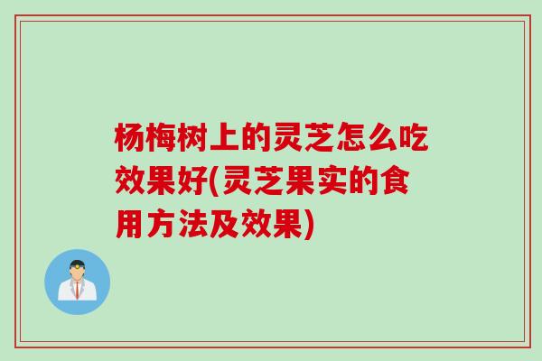 杨梅树上的灵芝怎么吃效果好(灵芝果实的食用方法及效果)