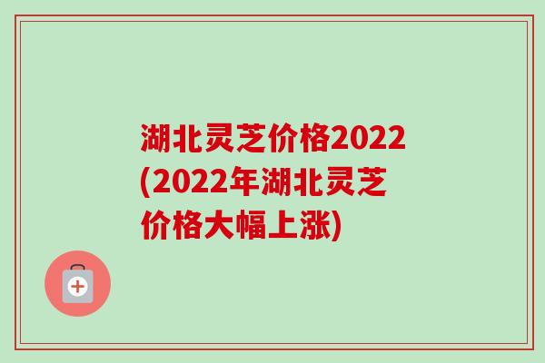 湖北灵芝价格2022(2022年湖北灵芝价格大幅上涨)