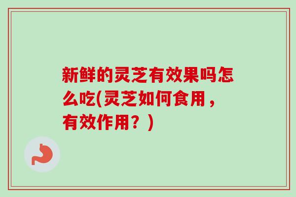 新鲜的灵芝有效果吗怎么吃(灵芝如何食用，有效作用？)