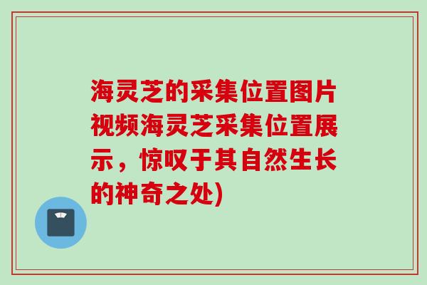 海灵芝的采集位置图片视频海灵芝采集位置展示，惊叹于其自然生长的神奇之处)