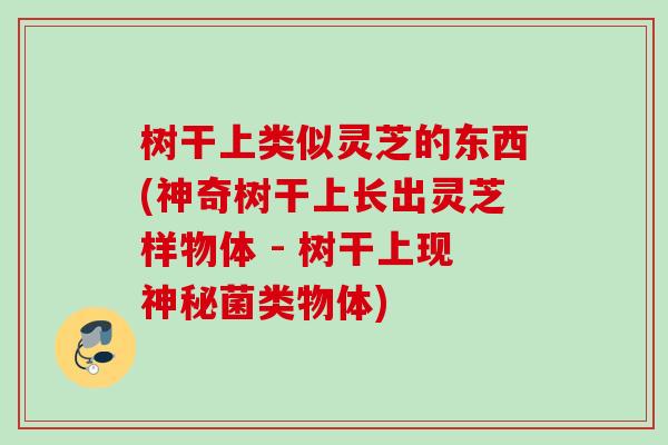 树干上类似灵芝的东西(神奇树干上长出灵芝样物体 - 树干上现神秘菌类物体) 树干上类似灵芝的东西(神奇树干上长出灵芝样物体 - 树干上现神秘菌类物体)