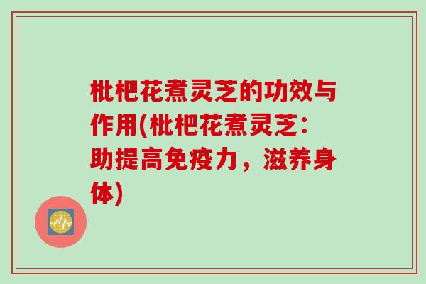枇杷花煮灵芝的功效与作用(枇杷花煮灵芝：助提高免疫力，滋养身体)
