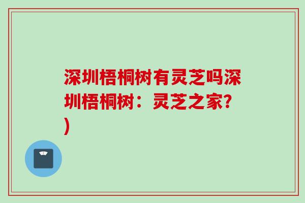 深圳梧桐树有灵芝吗深圳梧桐树：灵芝之家？)