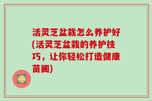 活灵芝盆栽怎么养护好(活灵芝盆栽的养护技巧，让你轻松打造健康苗圃)