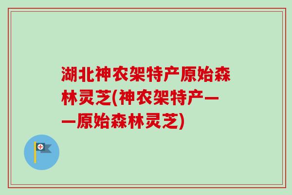 湖北神农架特产原始森林灵芝(神农架特产——原始森林灵芝) 湖北神农架特产原始森林灵芝(神农架特产——原始森林灵芝)