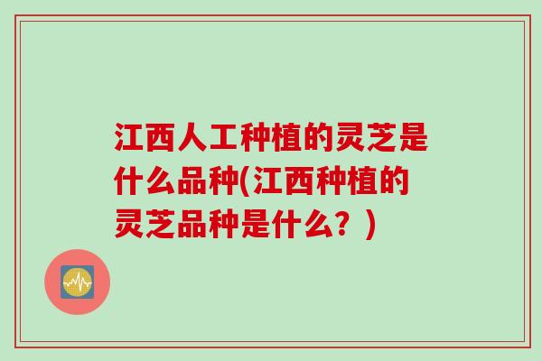 江西人工种植的灵芝是什么品种(江西种植的灵芝品种是什么？)