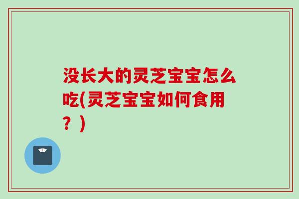 没长大的灵芝宝宝怎么吃(灵芝宝宝如何食用？)
