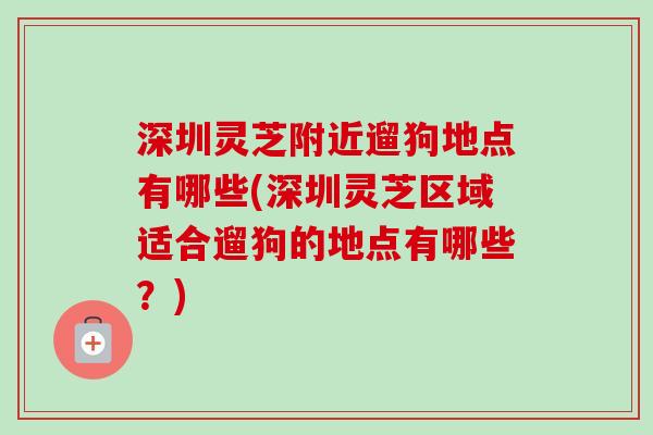 深圳灵芝附近遛狗地点有哪些(深圳灵芝区域适合遛狗的地点有哪些？)