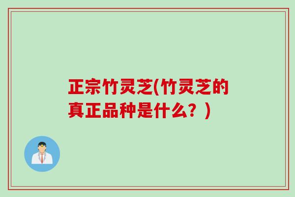 正宗竹灵芝(竹灵芝的真正品种是什么？)
