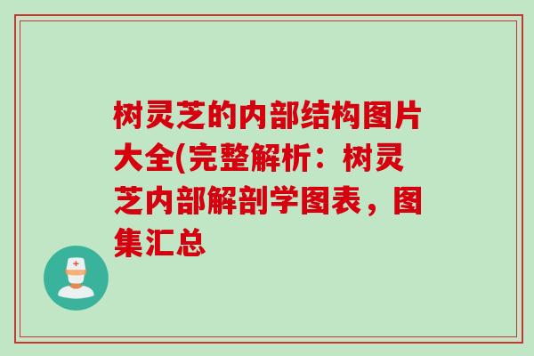 树灵芝的内部结构图片大全(完整解析：树灵芝内部解剖学图表，图集汇总