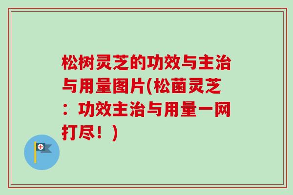 松树灵芝的功效与主与用量图片(松菌灵芝:功效主与用量一网打尽!) 松树灵芝的功效与主与用量图片(松菌灵芝:功效主与用量一网打尽!)