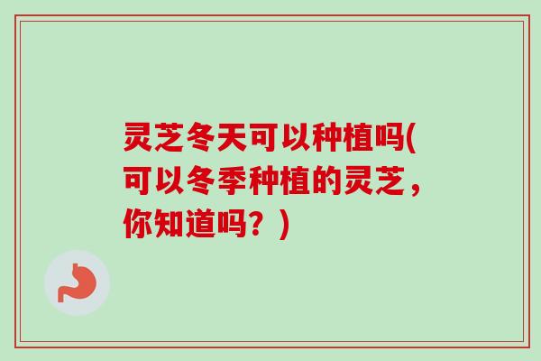 灵芝冬天可以种植吗(可以冬季种植的灵芝，你知道吗？)