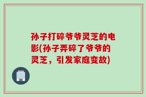 孙子打碎爷爷灵芝的电影(孙子弄碎了爷爷的灵芝，引发家庭变故)