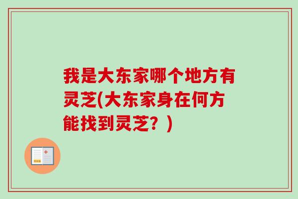 我是大东家哪个地方有灵芝(大东家身在何方能找到灵芝？)