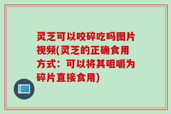 灵芝可以咬碎吃吗图片视频(灵芝的正确食用方式：可以将其咀嚼为碎片直接食用)