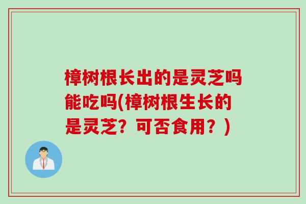 樟树根长出的是灵芝吗能吃吗(樟树根生长的是灵芝?可否食用?) 樟树根长出的是灵芝吗能吃吗(樟树根生长的是灵芝?可否食用?)