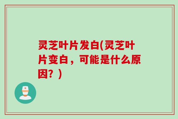 灵芝叶片发白(灵芝叶片变白，可能是什么原因？)