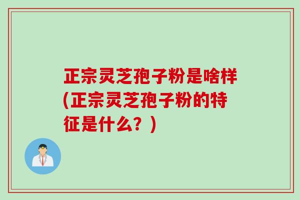正宗灵芝孢子粉是啥样(正宗灵芝孢子粉的特征是什么？)
