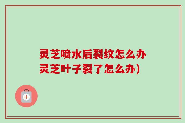 灵芝喷水后裂纹怎么办灵芝叶子裂了怎么办)