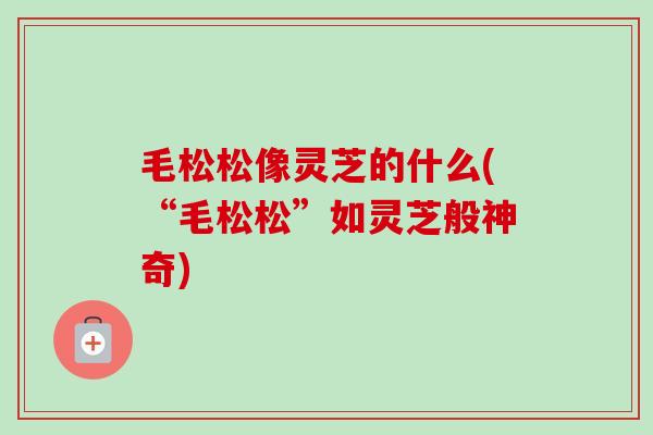 毛松松像灵芝的什么(“毛松松”如灵芝般神奇)