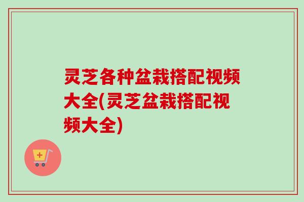 灵芝各种盆栽搭配视频大全(灵芝盆栽搭配视频大全) 灵芝各种盆栽搭配视频大全(灵芝盆栽搭配视频大全)