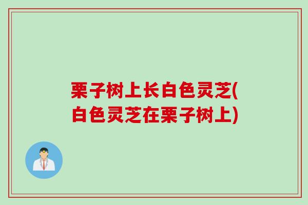 栗子树上长白色灵芝(白色灵芝在栗子树上)