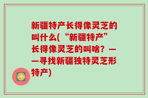 新疆特产长得像灵芝的叫什么(“新疆特产”长得像灵芝的叫啥？——寻找新疆独特灵芝形特产)