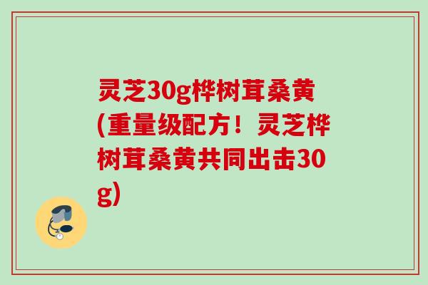 灵芝30g桦树茸桑黄(重量级配方！灵芝桦树茸桑黄共同出击30g)