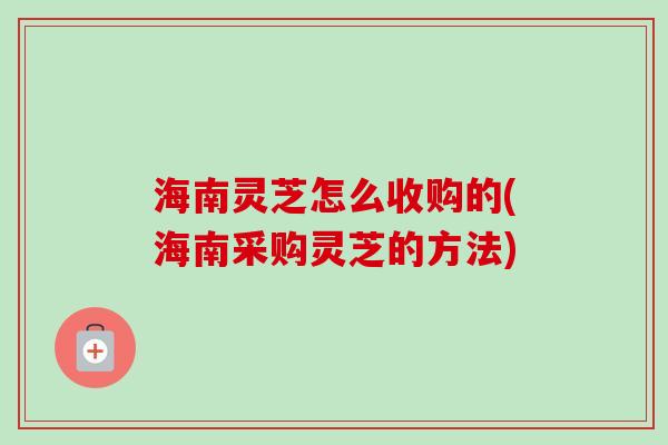 海南灵芝怎么收购的(海南采购灵芝的方法)
