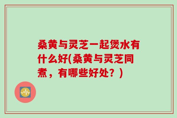 桑黄与灵芝一起煲水有什么好(桑黄与灵芝同煮，有哪些好处？)