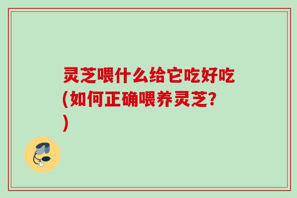 灵芝喂什么给它吃好吃(如何正确喂养灵芝?) 灵芝喂什么给它吃好吃(如何正确喂养灵芝?)