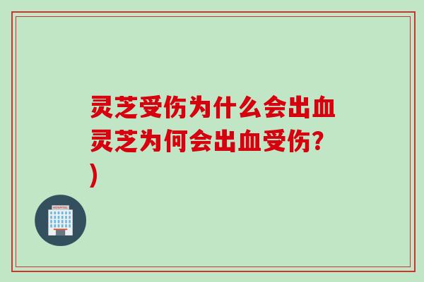 灵芝受伤为什么会出血灵芝为何会出血受伤？)