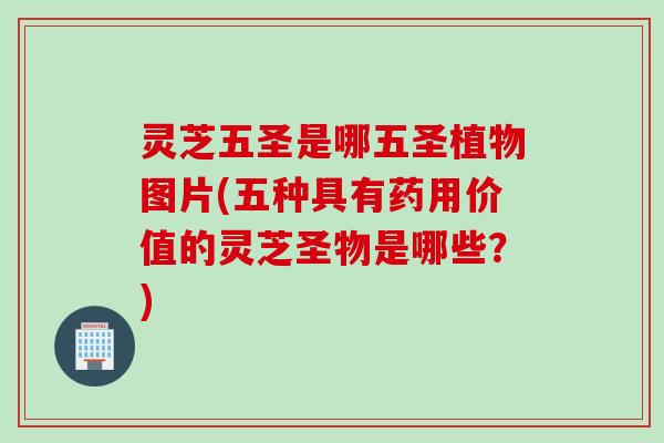 灵芝五圣是哪五圣植物图片(五种具有药用价值的灵芝圣物是哪些？)