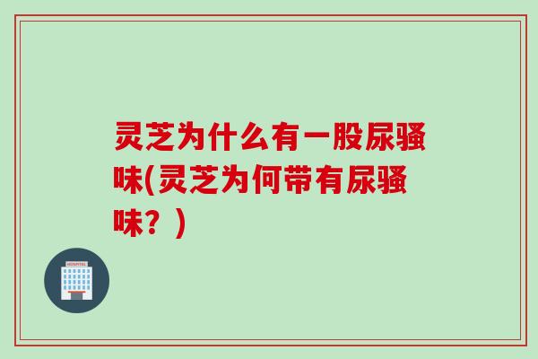 灵芝为什么有一股尿骚味(灵芝为何带有尿骚味？)