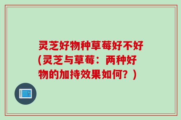 灵芝好物种草莓好不好(灵芝与草莓：两种好物的加持效果如何？)