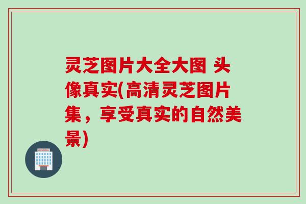 灵芝图片大全大图 头像真实(高清灵芝图片集，享受真实的自然美景)