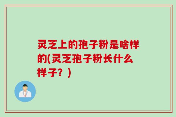 灵芝上的孢子粉是啥样的(灵芝孢子粉长什么样子?) 灵芝上的孢子粉是啥样的(灵芝孢子粉长什么样子?)