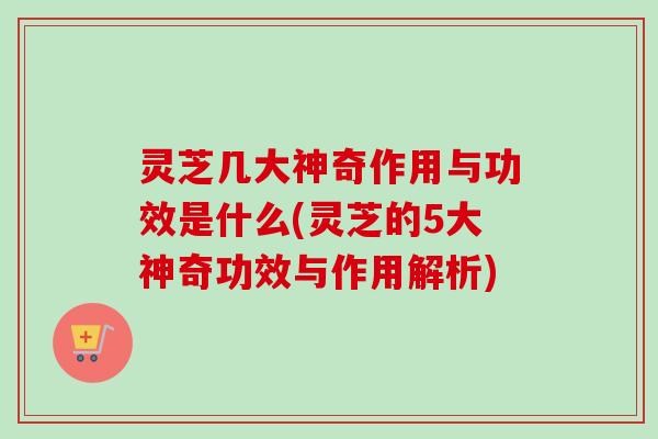 灵芝几大神奇作用与功效是什么(灵芝的5大神奇功效与作用解析)