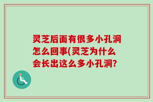 灵芝后面有很多小孔洞怎么回事(灵芝为什么会长出这么多小孔洞？