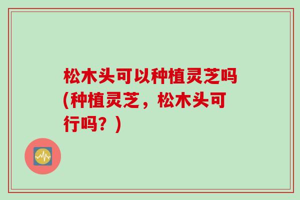 松木头可以种植灵芝吗(种植灵芝，松木头可行吗？)