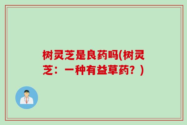 树灵芝是良药吗(树灵芝:一种有益草药?) 树灵芝是良药吗(树灵芝:一种有益草药?)