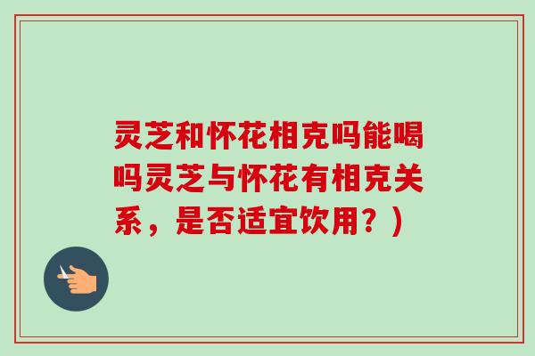 灵芝和怀花相克吗能喝吗灵芝与怀花有相克关系，是否适宜饮用？)