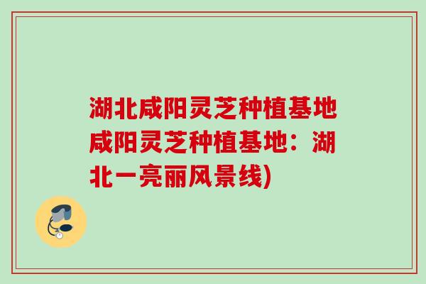 湖北咸阳灵芝种植基地咸阳灵芝种植基地：湖北一亮丽风景线)