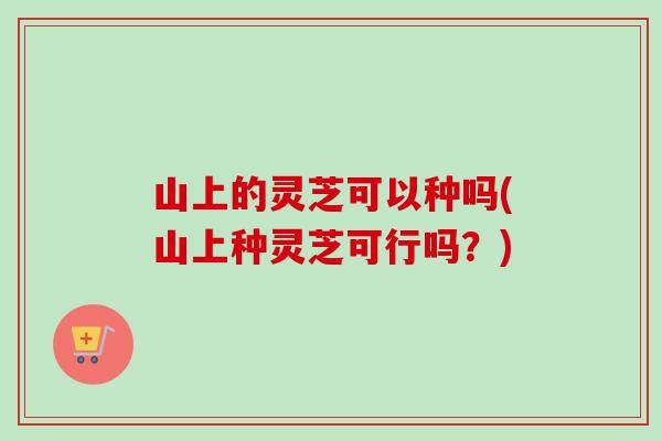 山上的灵芝可以种吗(山上种灵芝可行吗？)