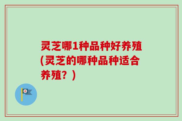 灵芝哪1种品种好养殖(灵芝的哪种品种适合养殖?) 灵芝哪1种品种好养殖(灵芝的哪种品种适合养殖?)