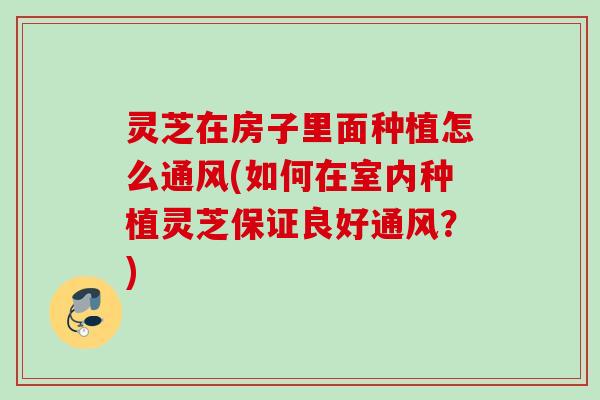 灵芝在房子里面种植怎么通风(如何在室内种植灵芝保证良好通风？)