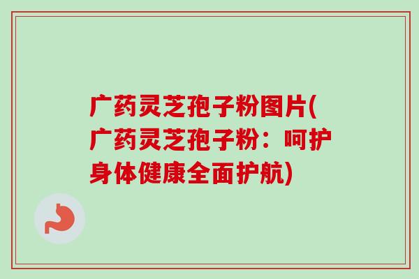 广药灵芝孢子粉图片(广药灵芝孢子粉：呵护身体健康全面护航)