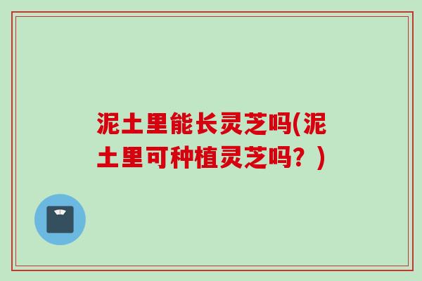 泥土里能长灵芝吗(泥土里可种植灵芝吗？)