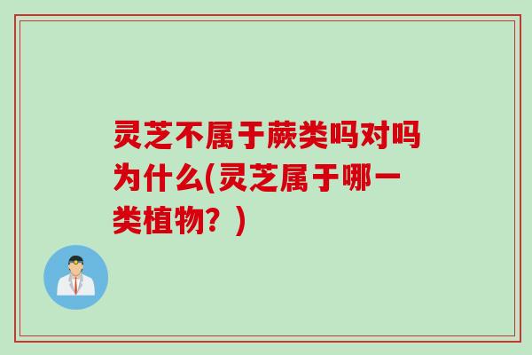 灵芝不属于蕨类吗对吗为什么(灵芝属于哪一类植物？)